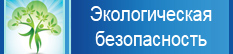 Экологическая безопасность